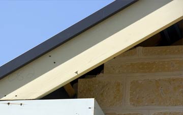 Sotterley fascia repairs