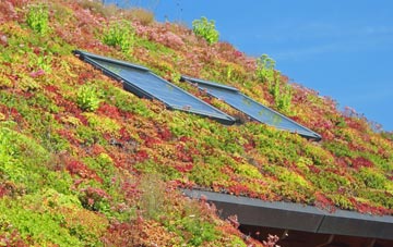 Sotterley living roof systems
