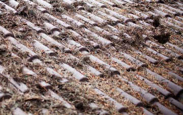 Sotterley roof cleaning companies